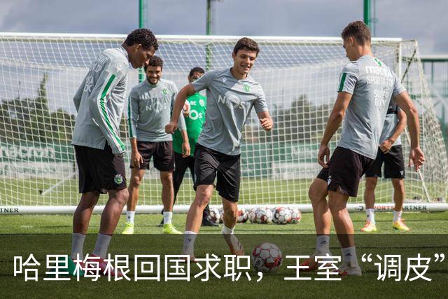 哈里梅根回国求职，王室“调皮”的新规待遵守